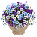 Plante artificielle en pot 35 cm fleurs pensées bleu violet blanc style décoratif