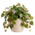 Plante artificielle retombante en pot 38 cm feuillage vert et rose style décoratif