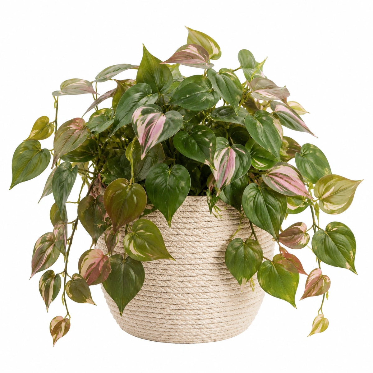 Plante artificielle retombante en pot 38 cm feuillage vert et rose style décoratif