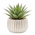 Plante artificielle en pot 24 cm vert et blanc en plastique décorative