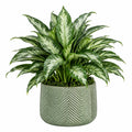 Plante verte artificielle en pot 75 cm feuillage panaché vert et blanc décoratif