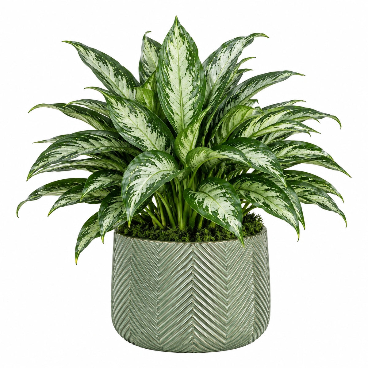 Plante verte artificielle en pot 75 cm feuillage panaché vert et blanc décoratif