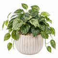 Plante verte artificielle en pot 55 cm feuillage panaché vert crème décorative