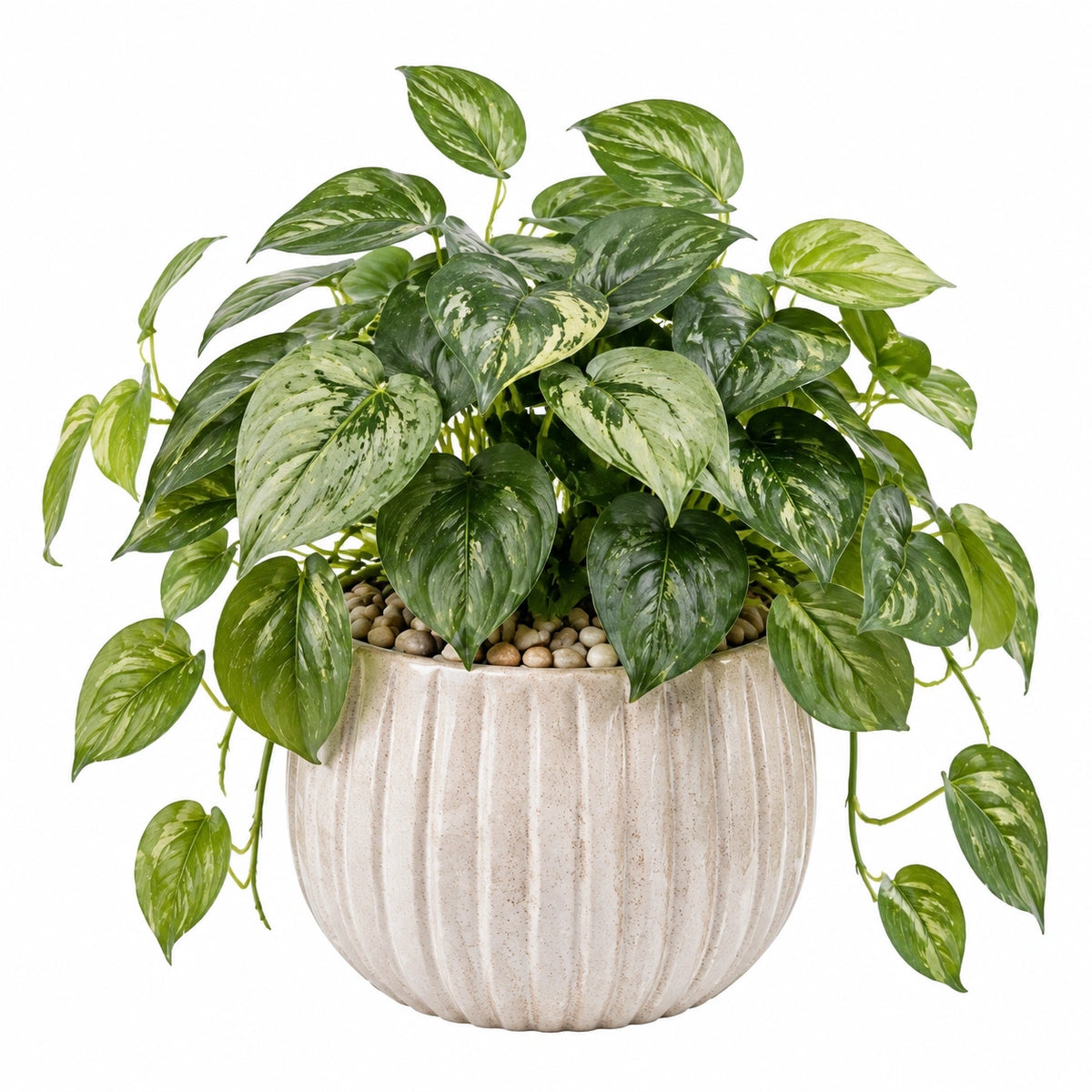 Plante verte artificielle en pot 55 cm feuillage panaché vert crème décorative