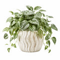Plante verte artificielle 55 cm en plastique vert et blanc avec pot en céramique pour intérieur