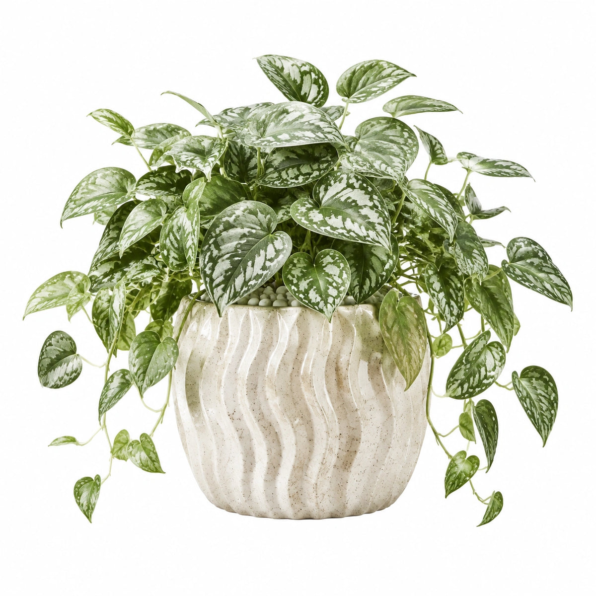 Plante verte artificielle 55 cm en plastique vert et blanc avec pot en céramique pour intérieur